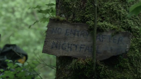 Blair Witch Woods
