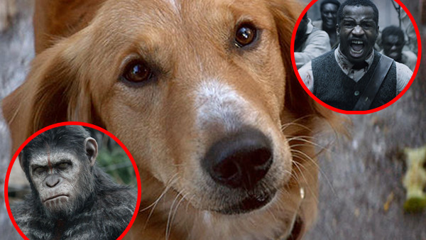 A Dog S Purpose Birth Of A Nation Dawn Of The Planet Of The Apes