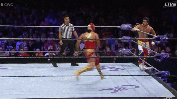 Killshot Double Footstomp Ladder Through Table