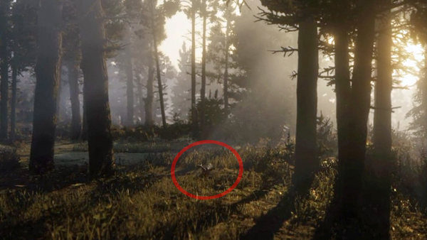 Red dead redemption wildlife