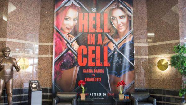 Hell In A Cell