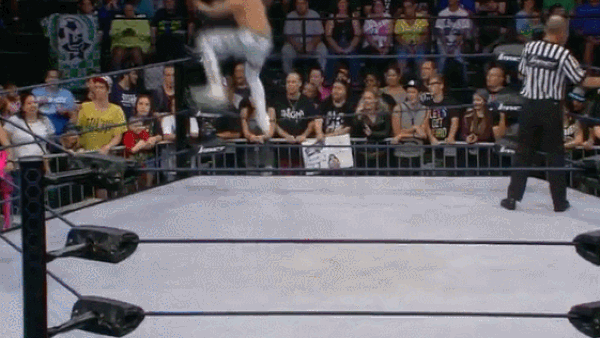 Cody Springboard Miracle