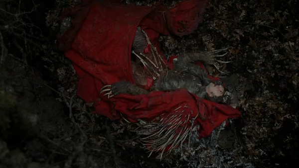 The Village Adrian Brody