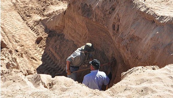 The West Mesa Bone Collector