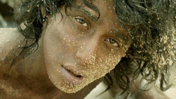 Life Of Pi