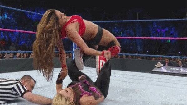 Nikki Bella Surfboard REversal