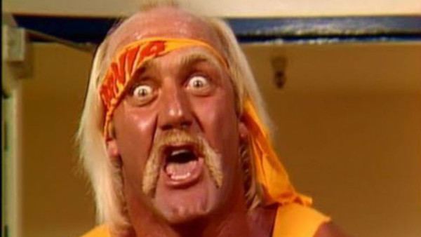Hulk Hogan Wtf