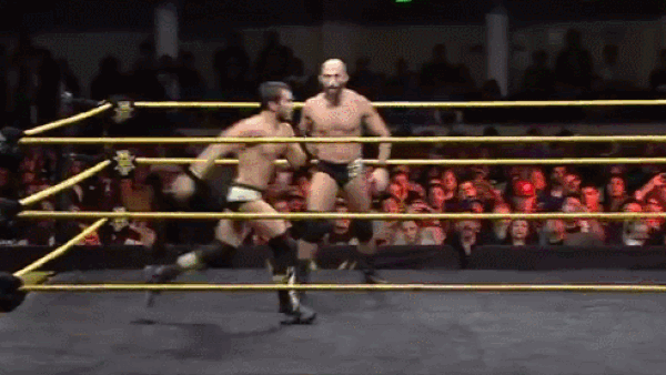 Authors Of Pain Block Suicide Dive DIY