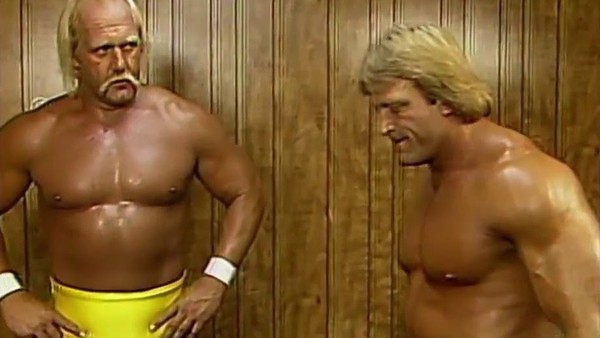 hulk hogan paul orndorff
