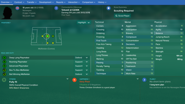 Sander Berge FM 2017