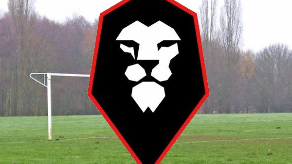 Mitrovic Football Manager 2017