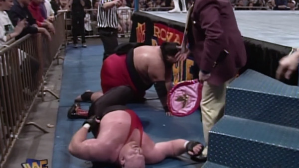 Stone Cold Steve Austin