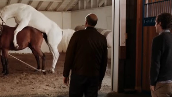 Silicon Valley Horse