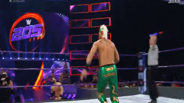 Lince Dorado Tope Almost Botch
