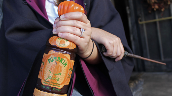 Celebration of Harry Potter Universal