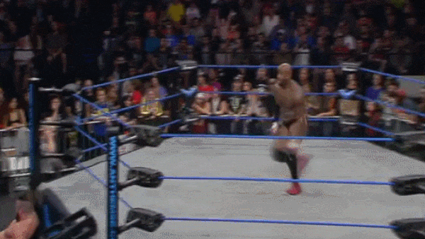 Moose Dive Onto Ladder One Night Only