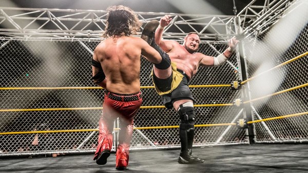 Nakamura Steel Cage