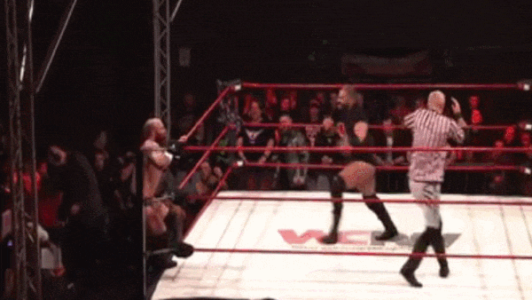 Primate Took Boot Rampage