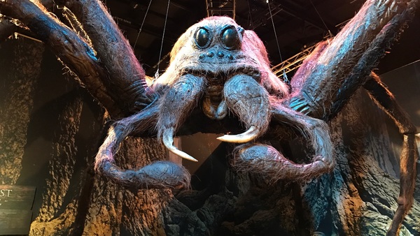 Aragog A Celebration of Harry Potter Warner Bros Studio Tour