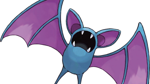 41 Zubat