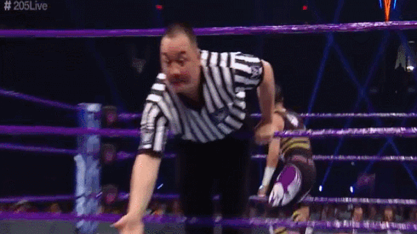 Mustafa Ali Dive Over Ref