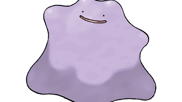 132 Ditto