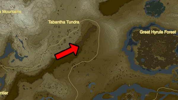 zelda forgotten temple