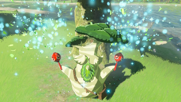 zelda hestu