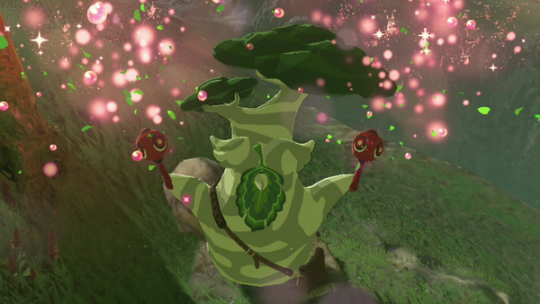 zelda hetsu
