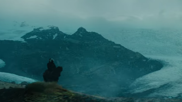 Justice League Horse