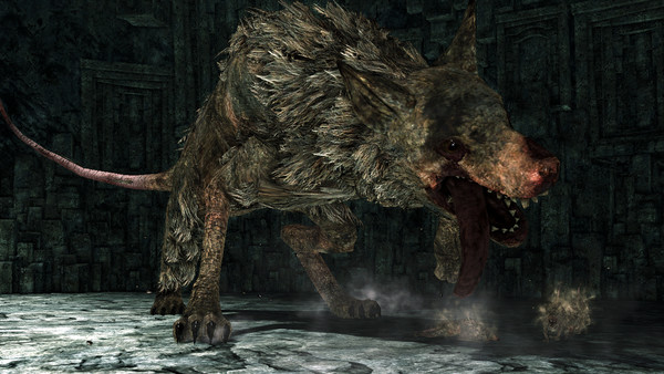 Dark Souls 2 rat 