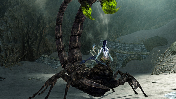Dark souls 2