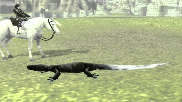 shadow of the colossus lizards