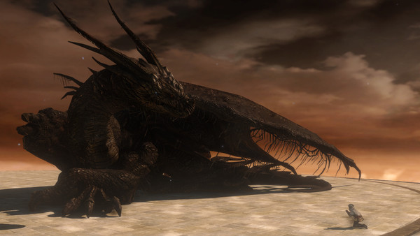 Dark souls 2