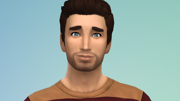 The sims