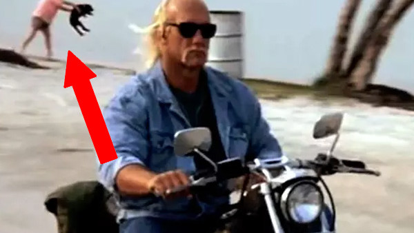 Hulk Hogan Dog
