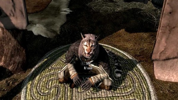 skyrim game