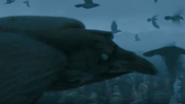 Game Of Thrones Season 7 Trailer Raven 