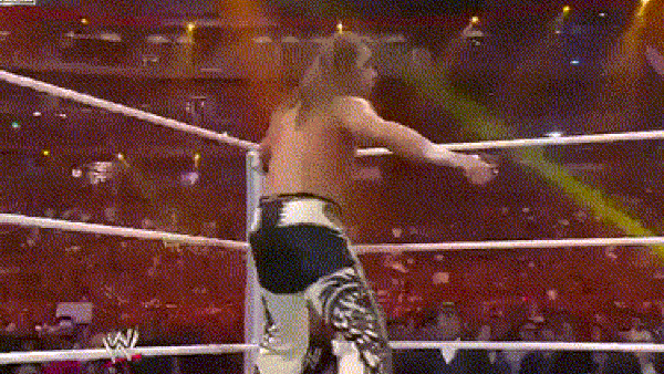 Shawn Michaels Sweet Chin Music