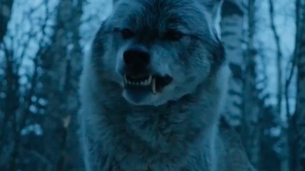 Game Of Thrones Nymeria