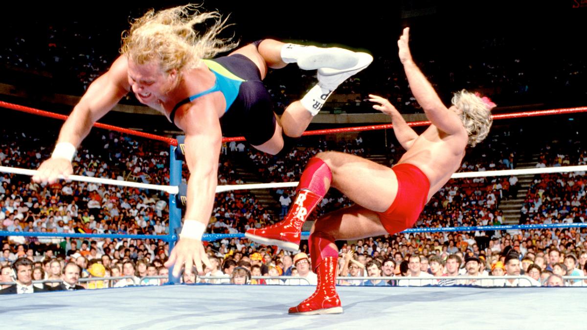 mr perfect red rooster terry taylor