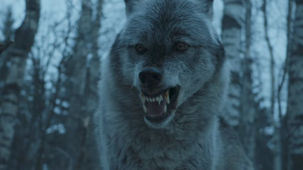 Game Of Thrones Nymeria