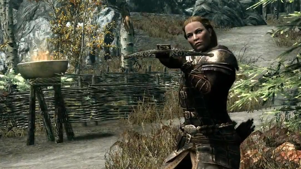 Elder Scrolls skyrim Follower