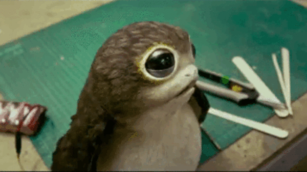 Star Wars The Last Jedi Porg