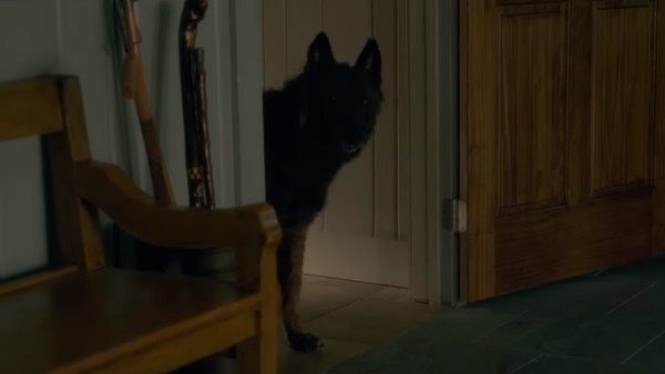 Gerald S Game Dog