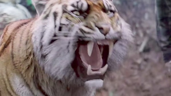 The Walking Dead Shiva