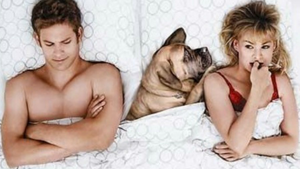 Sleeping Dogs Lie