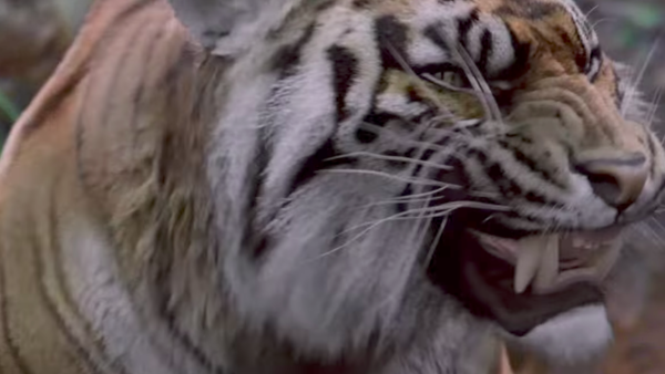 The Walking Dead Shiva