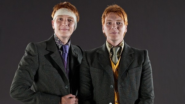 Harry Potter Ginny And The Weasley Brothers