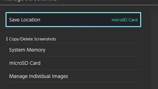 nintendo switch sd card